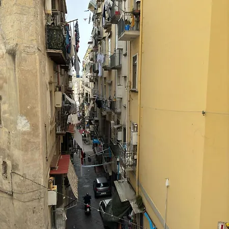 Toledo Relax Naples